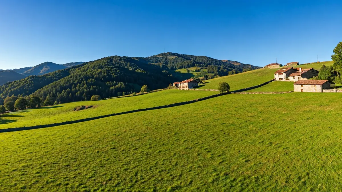 Ataungo paisaien aireko irudi generikoa, baserri tradizionalekin.