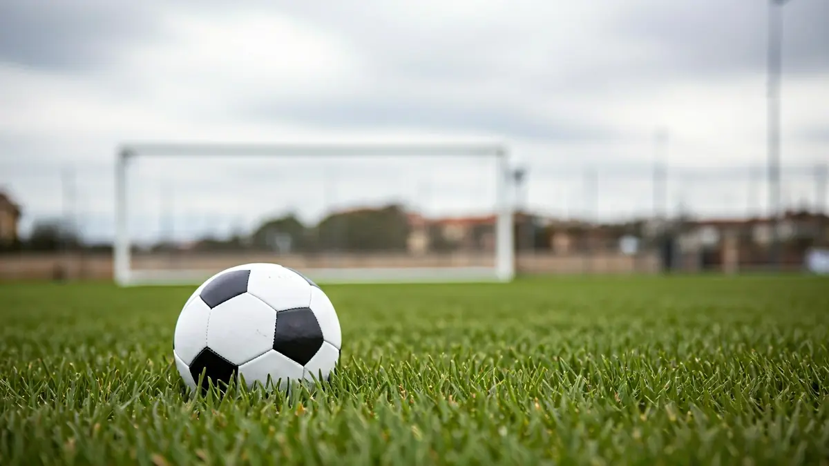 Generic image of a soccer ball on grass, with a blurred goal net in the background.