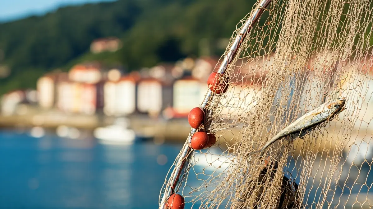 Arrantza-sare baten irudi generikoa, euskal kostaldeko herri baten atzealde lausoarekin.