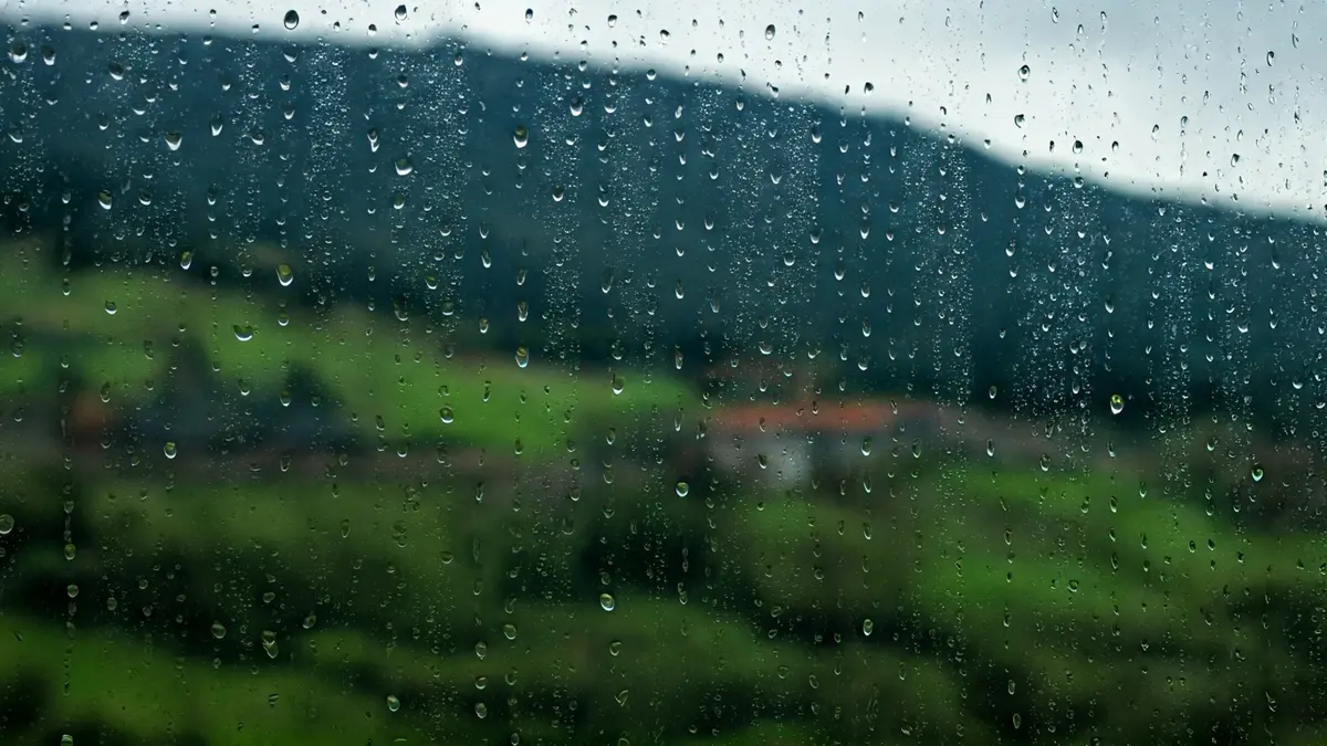 Euriak bustitako leiho baten irudi generikoa, kanpoaldeko paisaia lausoarekin.