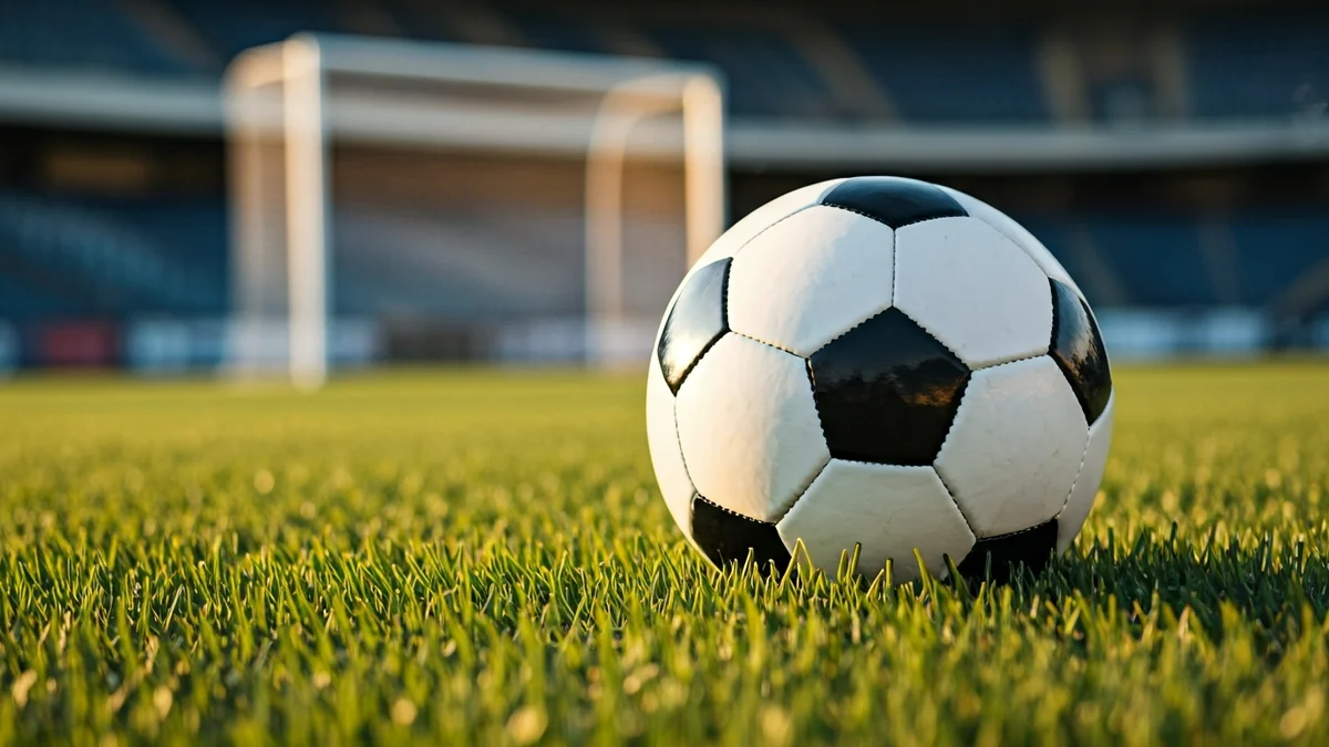 Imatge genèrica d'una pilota de futbol sobre la gespa d'un camp