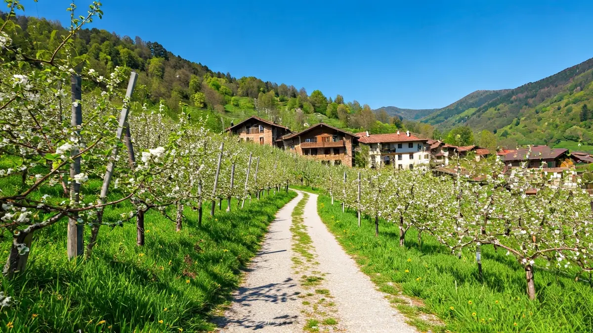 Imagen de manzanos en flor en el valle de Urola Erdia, con caseríos al fondo.