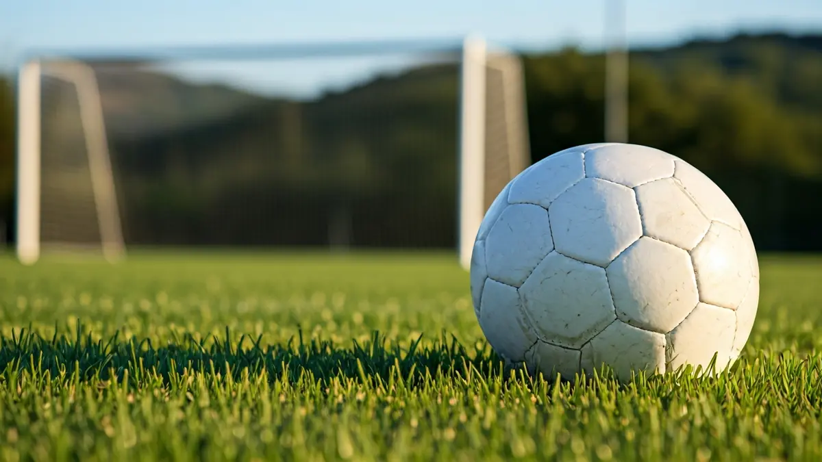 Generic image of a soccer ball on grass, with a blurred goal in the background.
