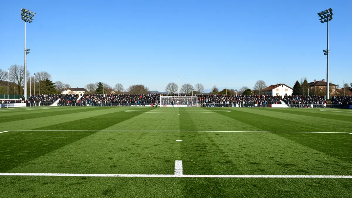 Un campo de fútbol en Euskadi con césped verde y líneas blancas.