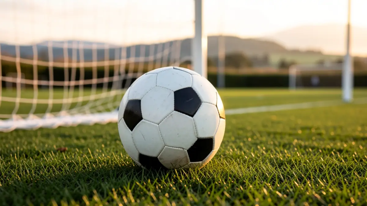 Soccer ball on grass, white net blurred in the background.