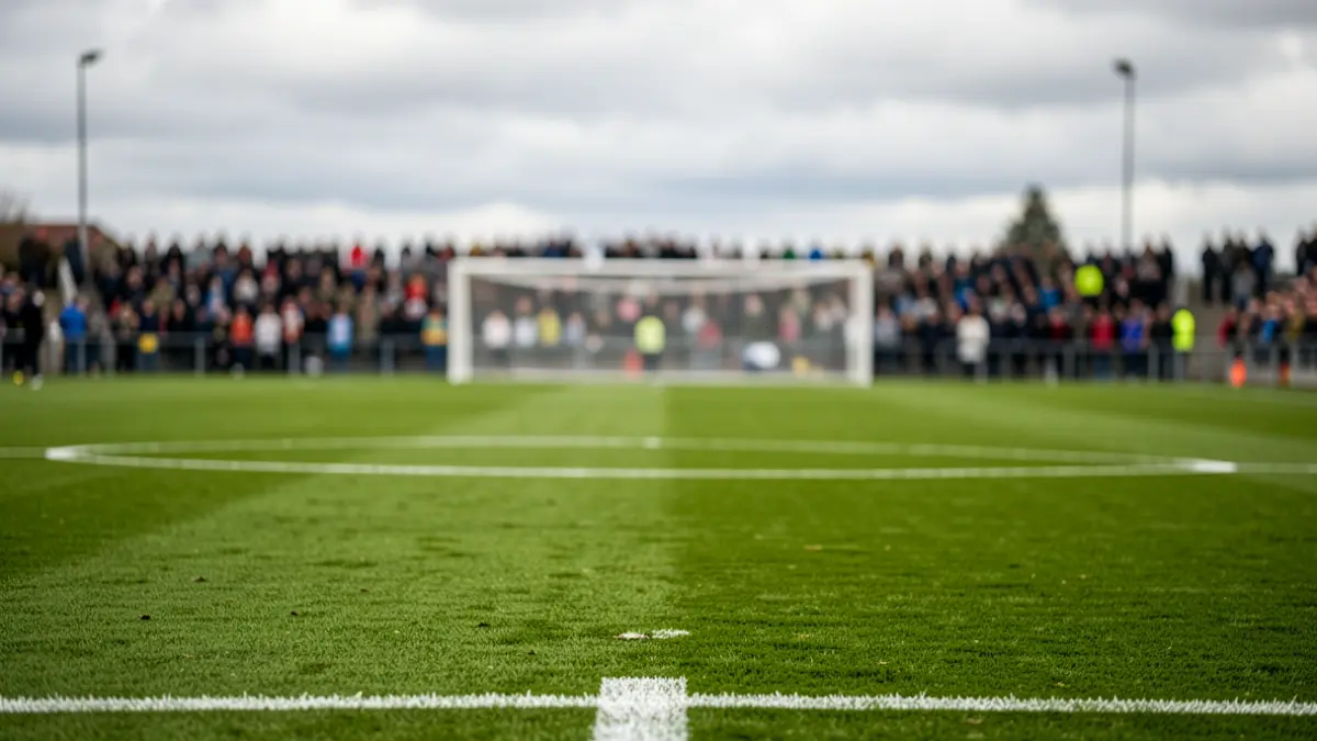 Futbol zelai bat Euskadin, belar berdea eta marra zuriak dituena, ate-sarea lausotuta atzealdean, zeru lainotsu baten azpian.