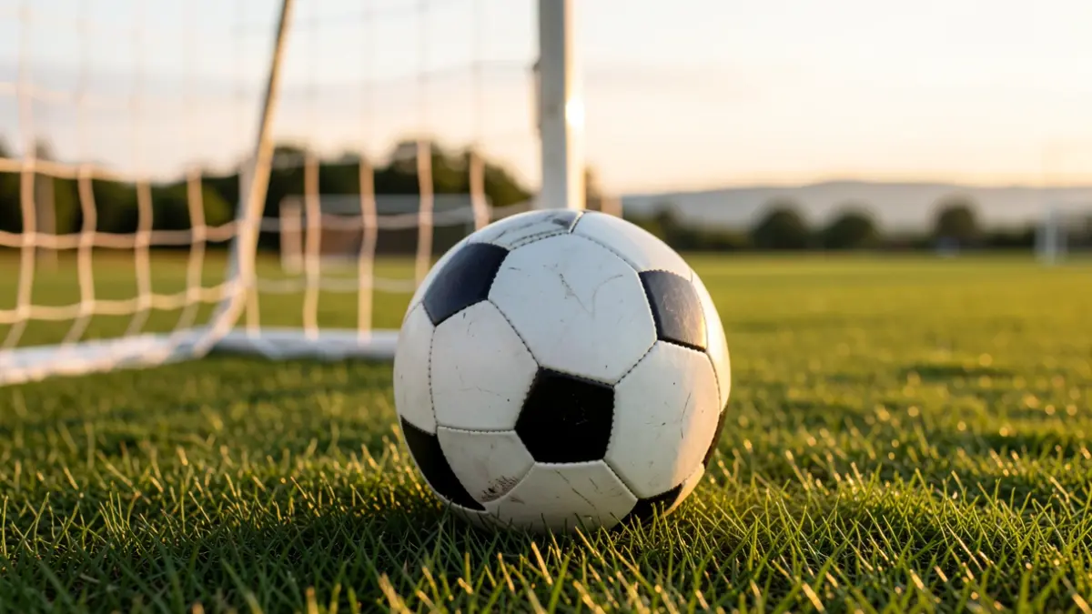 Close-up of a football field, with the ball and goal blurred.