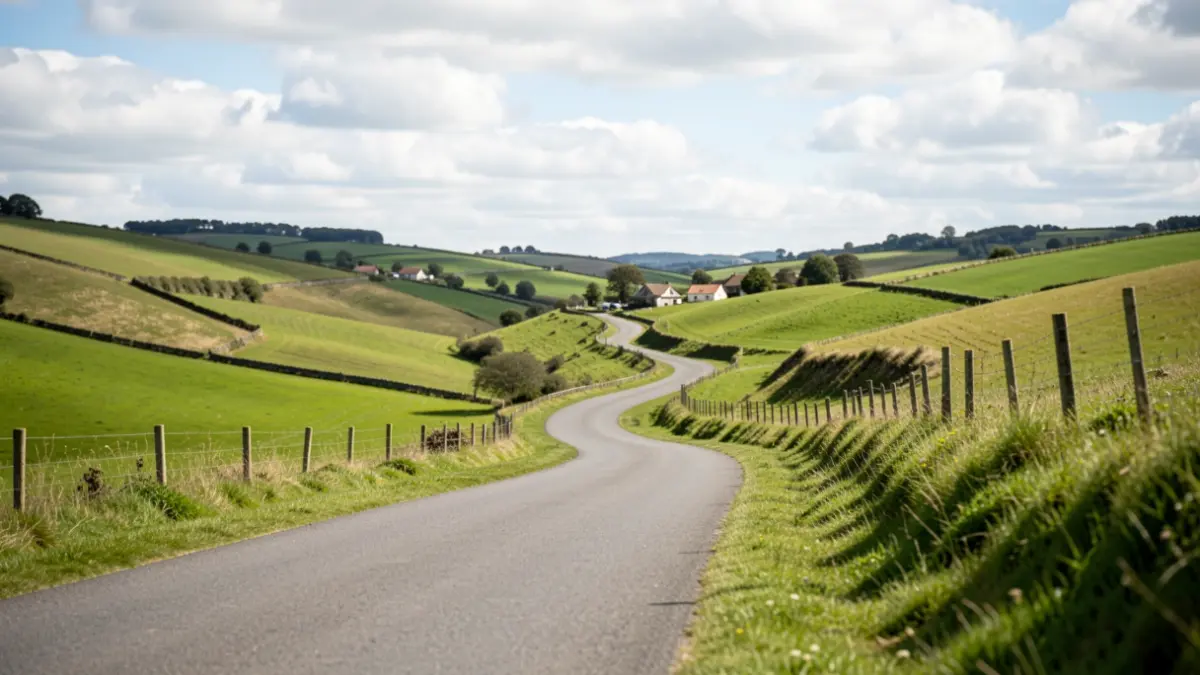 Generic image: Green landscape of Tolosaldea with a road.