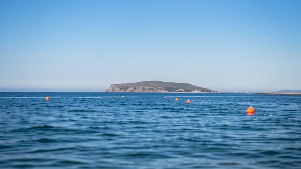 Generic sea image with an island and buoys.