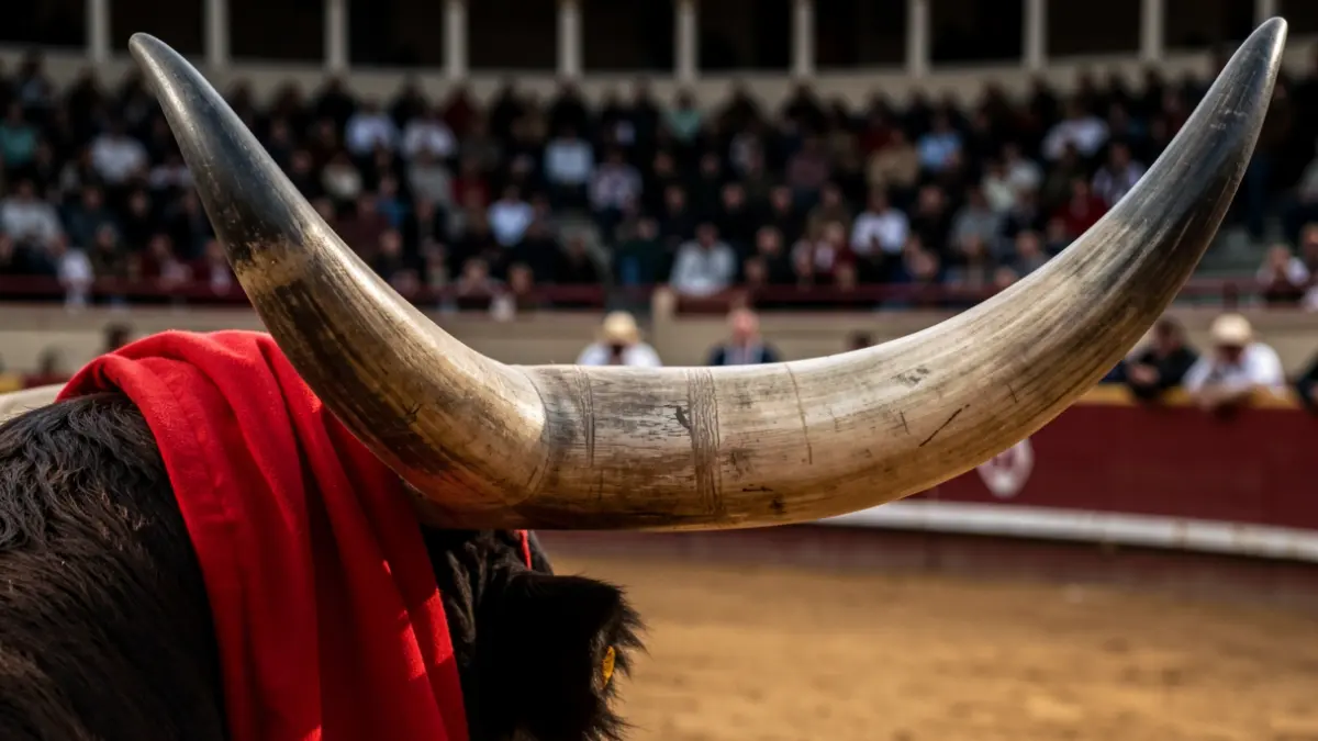 Generic image: a bull's horn and a cloth.