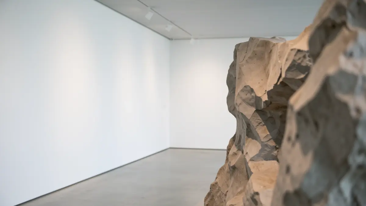 Interior of a contemporary art museum gallery, featuring minimalist white walls and subtle track lighting.